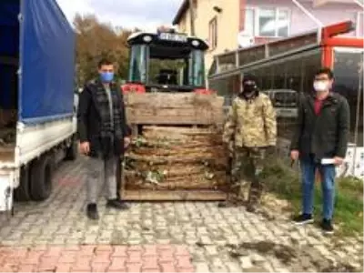 Demirkzöy'de ahududu fidanları dağıtıldı Demirkzöy'de ahududu fidanları dağıtıldı