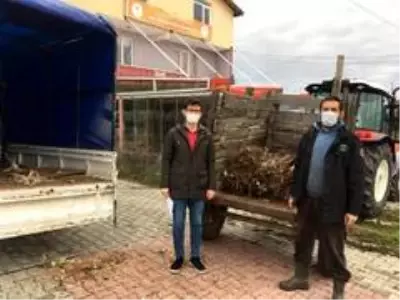 Demirkzöy'de ahududu fidanları dağıtıldı Demirkzöy'de ahududu fidanları dağıtıldı