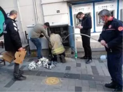 İtfaiyesi elektrik panosuna sıkışan kediyi kurtardı İtfaiyesi elektrik panosuna sıkışan kediyi kurtardı