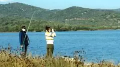 Flamingolar Bodrum'a çok erken geldi Flamingolar Bodrum'a çok erken geldi