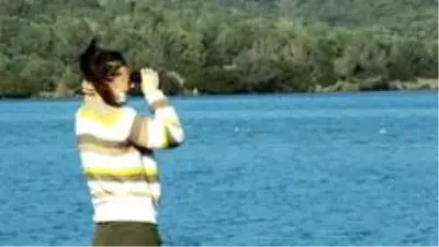 Flamingolar Bodrum'a çok erken geldi Flamingolar Bodrum'a çok erken geldi
