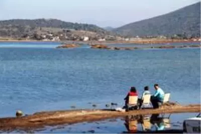 Flamingolar Bodrum'a çok erken geldi Flamingolar Bodrum'a çok erken geldi