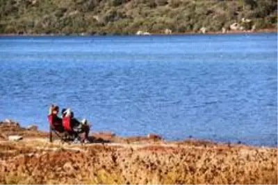 Flamingolar Bodrum'a çok erken geldi Flamingolar Bodrum'a çok erken geldi