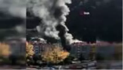 Son dakika... Giresun'da yangın