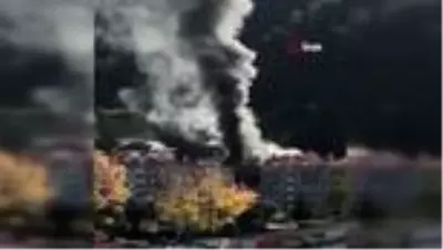 Son dakika... Giresun'da yangın