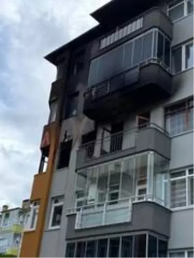 Son dakika... Giresun'da yangın
