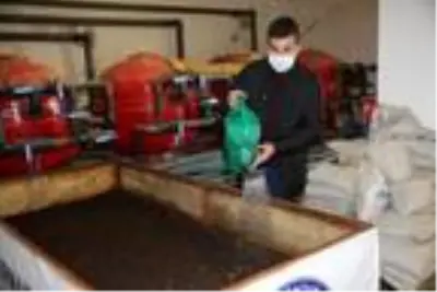 Günde 1 saat çalışarak ayda 3 ton solucan gübresi üretiyor Günde 1 saat çalışarak ayda 3 ton solucan gübresi üretiyor