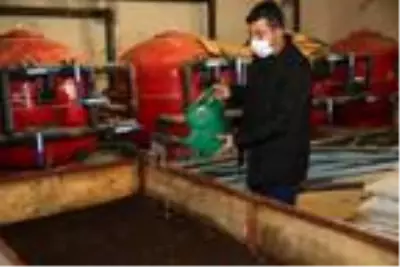 Günde 1 saat çalışarak ayda 3 ton solucan gübresi üretiyor Günde 1 saat çalışarak ayda 3 ton solucan gübresi üretiyor