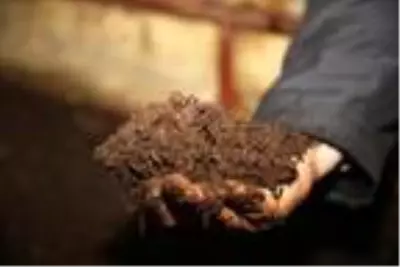 Günde 1 saat çalışarak ayda 3 ton solucan gübresi üretiyor Günde 1 saat çalışarak ayda 3 ton solucan gübresi üretiyor