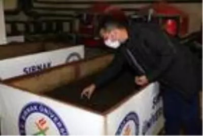 Günde 1 saat çalışarak ayda 3 ton solucan gübresi üretiyor Günde 1 saat çalışarak ayda 3 ton solucan gübresi üretiyor