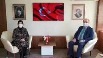 Helenopolis Antik Kenti gün yüzüne çıkarılacak Helenopolis Antik Kenti gün yüzüne çıkarılacak