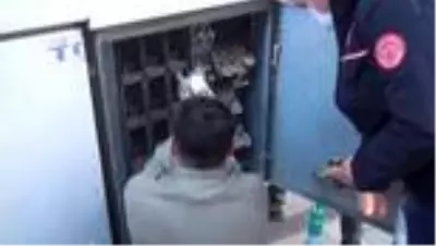 İtfaiyesi elektrik panosuna sıkışan kediyi kurtardı İtfaiyesi elektrik panosuna sıkışan kediyi kurtardı
