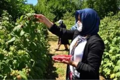 Kadınlar Bursa Büyükşehir'le daha güçlü Kadınlar Bursa Büyükşehir'le daha güçlü