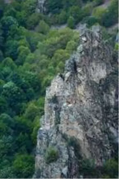 'Karadeniz'in ikinci Sümela'sı' için restorasyon isteği 'Karadeniz'in ikinci Sümela'sı' için restorasyon isteği