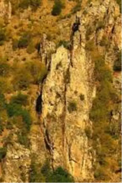 'Karadeniz'in ikinci Sümela'sı' için restorasyon isteği 'Karadeniz'in ikinci Sümela'sı' için restorasyon isteği
