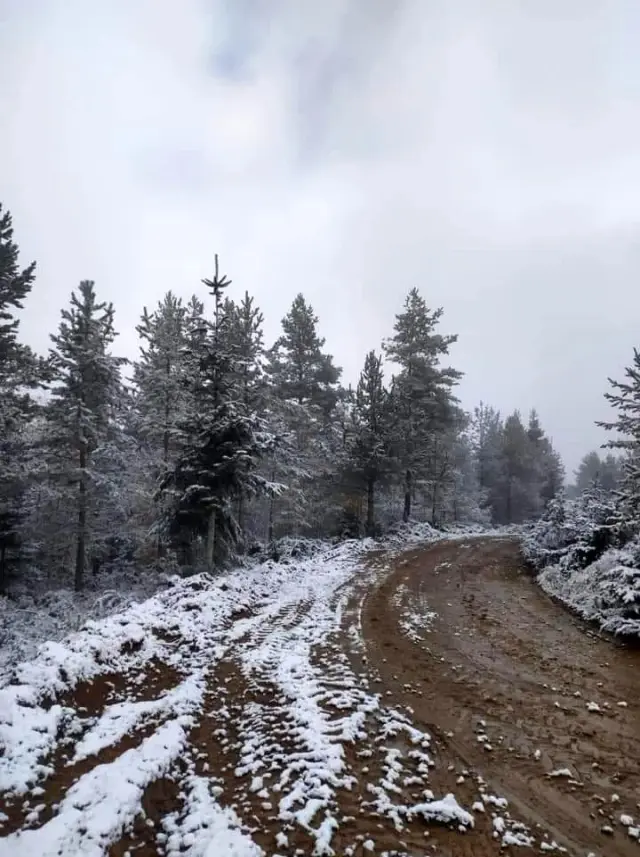 Kastamonu'da sahil bölgesinde kar yağışı etkili oluyor ...