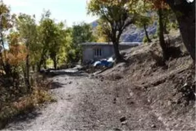 Şırnak'ta arıcılar için bal ormanlarına yol yapılıyor Şırnak'ta arıcılar için bal ormanlarına yol yapılıyor