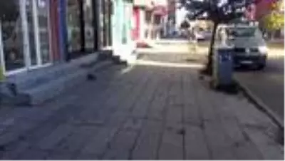 Doğu Akdeniz'de sokağa çıkma kısıtlamasının bitmesiyle hareketlilik başladı Doğu Akdeniz'de sokağa çıkma kısıtlamasının bitmesiyle hareketlilik başladı
