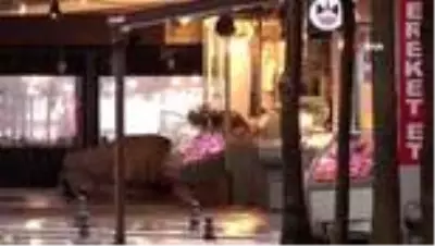 Kısıtlama sonrası Taksim'de yaşanan hareketlilik havadan görüntülendi Kısıtlama sonrası Taksim'de yaşanan hareketlilik havadan görüntülendi