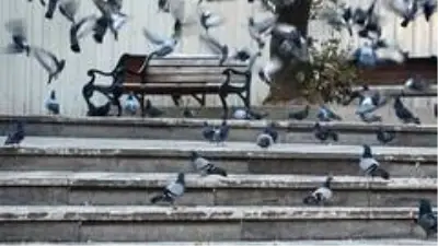 Sokağa çıkma kısıtlamasının son saatlerinde Bursa'da sessizlik hakim Sokağa çıkma kısıtlamasının son saatlerinde Bursa'da sessizlik hakim