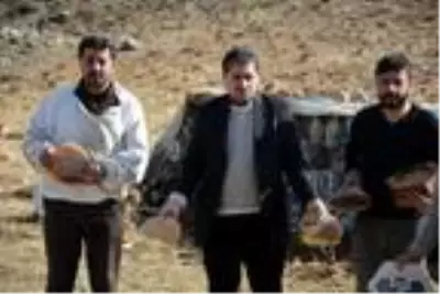 Teröristlerden temizlenen Herekol Dağı'nda bal hasadı başladı Teröristlerden temizlenen Herekol Dağı'nda bal hasadı başladı