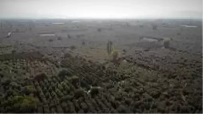 Türkiye'nin en değerli ovasını kaçak yapılardan korumak için muhtarlar nöbette Türkiye'nin en değerli ovasını kaçak yapılardan korumak için muhtarlar nöbette