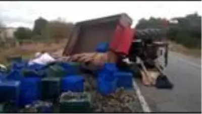 Son dakika haberi... Zeytin işçileri ölümden döndü: 5 yaralı Son dakika haberi... Zeytin işçileri ölümden döndü: 5 yaralı