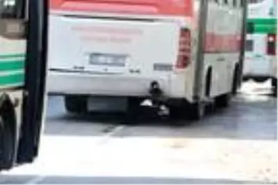 '10 numara yağ, kanser riskini artırıyor' '10 numara yağ, kanser riskini artırıyor'