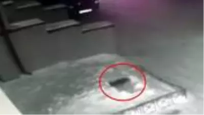 4'ncü kattan düşen çocuğu yerdeki kar birikintisi kurtardı 4'ncü kattan düşen çocuğu yerdeki kar birikintisi kurtardı