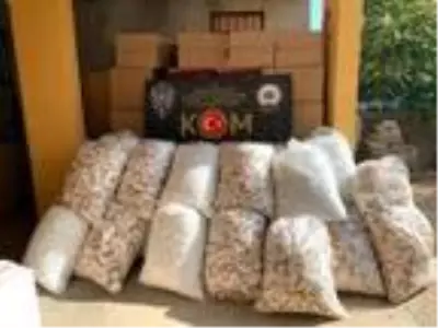 Son dakika haber | Adana'da 3 milyon 60 bin adet kaçak makaron ele geçirildi Son dakika haber | Adana'da 3 milyon 60 bin adet kaçak makaron ele geçirildi