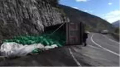 Artvin'de kamyon devrildi, kömür çuvalları yola saçıldı Artvin'de kamyon devrildi, kömür çuvalları yola saçıldı