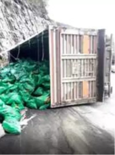 Artvin'de kömür yüklü tır devrildi: 1 yaralı Artvin'de kömür yüklü tır devrildi: 1 yaralı