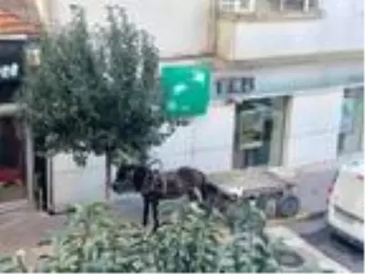 At arabasını kaldırıma park eden kişiye 132 lira ceza At arabasını kaldırıma park eden kişiye 132 lira ceza