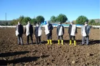 Bafra'da yerli atalık tohum toprakla buluştu Bafra'da yerli atalık tohum toprakla buluştu
