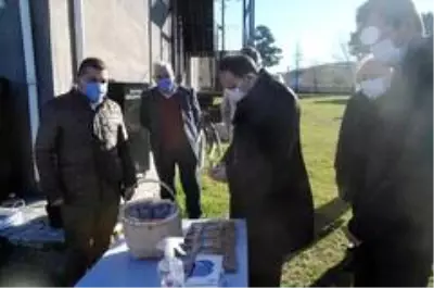 Bafra'da yerli atalık tohum toprakla buluştu Bafra'da yerli atalık tohum toprakla buluştu