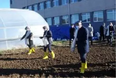 Bafra'da yerli atalık tohum toprakla buluştu Bafra'da yerli atalık tohum toprakla buluştu
