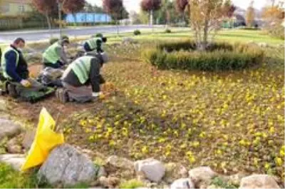 Belediye, kış öncesi saha çalışmalarını hızlandırdı Belediye, kış öncesi saha çalışmalarını hızlandırdı