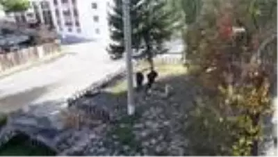 Caddeye ismini veren tek mezar esrarını koruyor Caddeye ismini veren tek mezar esrarını koruyor