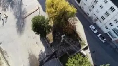 Caddeye ismini veren ve hastalara şifa olan 'tek mezar' görenleri şaşırtıyor Caddeye ismini veren ve hastalara şifa olan 'tek mezar' görenleri şaşırtıyor