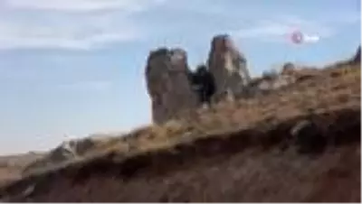 Çatlayan kaya arasında ağaç büyüdü Çatlayan kaya arasında ağaç büyüdü