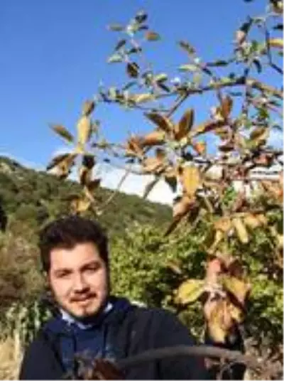 Demre'de ağaçlar şaşırdı, sonbaharda çiçek açtı Demre'de ağaçlar şaşırdı, sonbaharda çiçek açtı