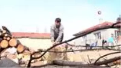 Düğün takılarıyla telefon alıp YouTuber oldu Düğün takılarıyla telefon alıp YouTuber oldu