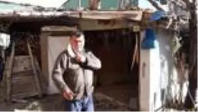 Son dakika haber | Düştüğü traktörün altında kalan sürücü öldü Son dakika haber | Düştüğü traktörün altında kalan sürücü öldü