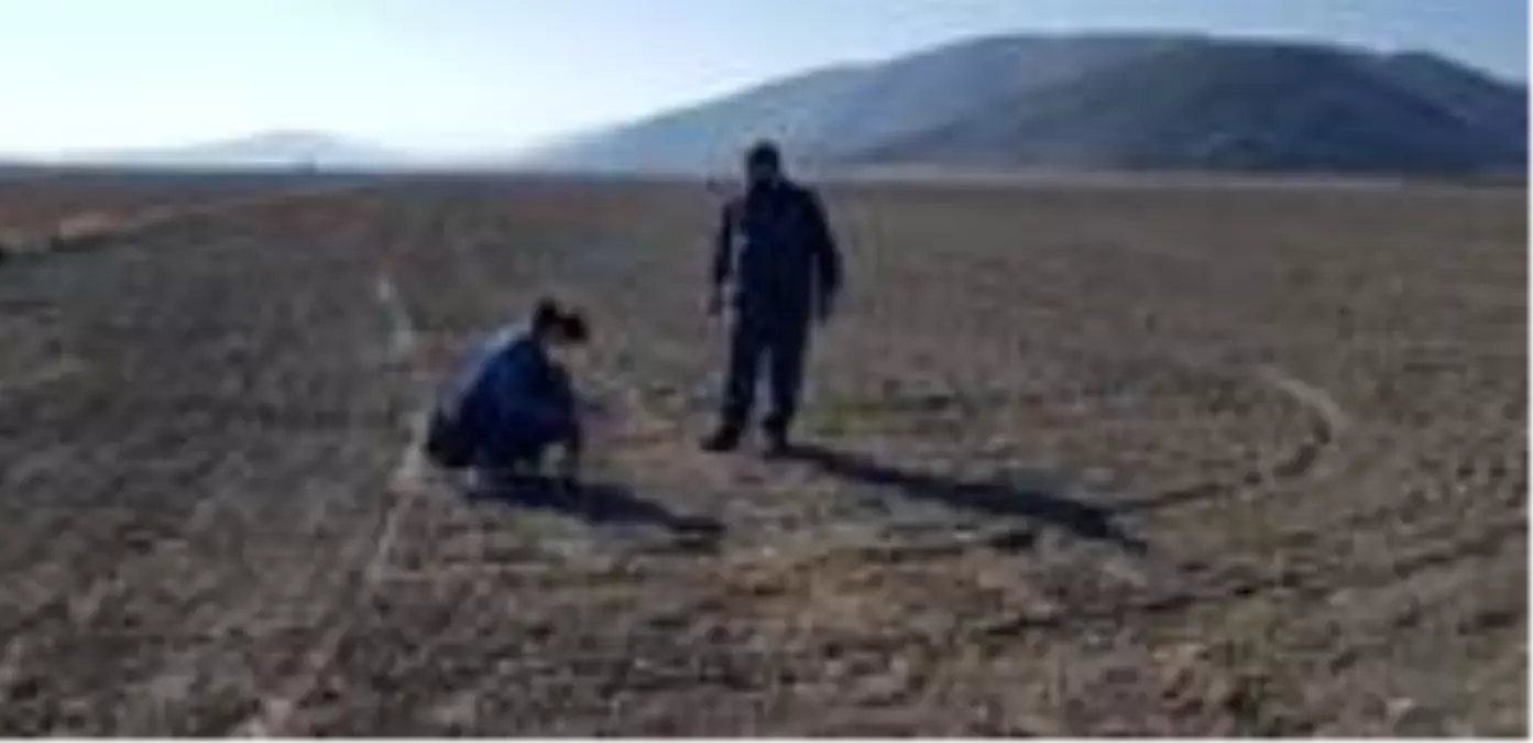 Isparta'da yerli tohum denemeleri