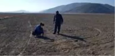 Isparta'da yerli tohum denemeleri Isparta'da yerli tohum denemeleri