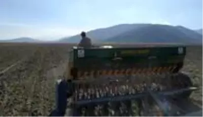 Isparta'da yerli tohum denemeleri Isparta'da yerli tohum denemeleri