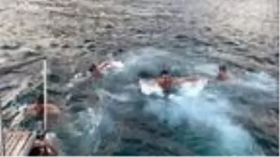 İstanbul Boğazı'nın buz gibi suyuna girip kulaç attılar İstanbul Boğazı'nın buz gibi suyuna girip kulaç attılar