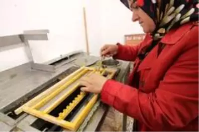 Ordu'da arı sütü kadın üreticilere 800 bin lira kazandırdı Ordu'da arı sütü kadın üreticilere 800 bin lira kazandırdı