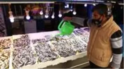 Karadeniz'deki hamsi bolluğu balıkçıların ve vatandaşın yüzünü güldürüyor Karadeniz'deki hamsi bolluğu balıkçıların ve vatandaşın yüzünü güldürüyor