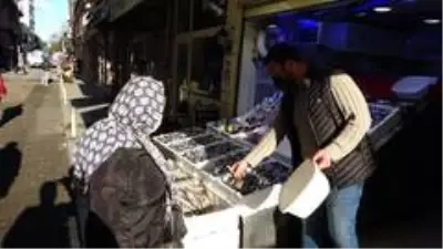 Karadeniz hamsisine yoğun ilgi Karadeniz hamsisine yoğun ilgi